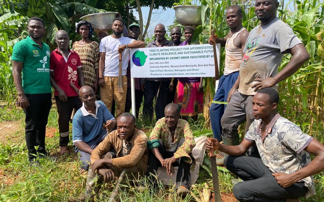 Sowing Seeds of Sustainability: CiCoNet Leads tree planting exercise in Nkoranza
